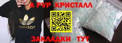 стаф Кунгур