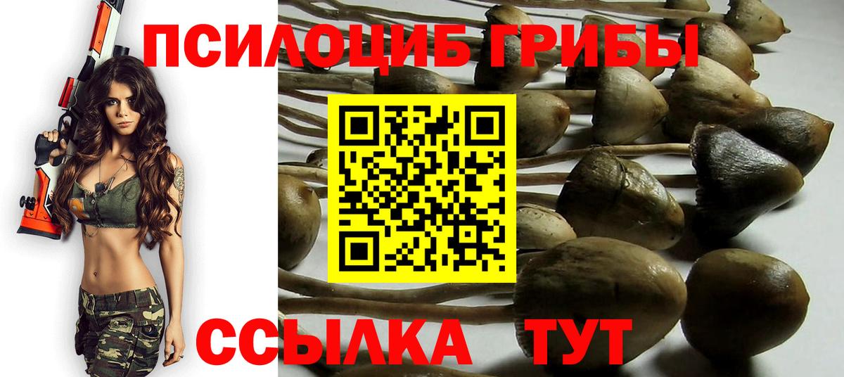 Галлюциногенные грибы Psilocybine cubensis  Вход с VPN  Псилоцибиновые грибы прущие грибы  Железноводск 