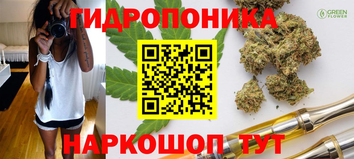 Канабис сатива Железноводск